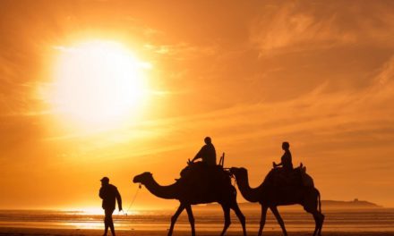 Voyage de noces dépaysant et original : choisissez le Maroc !